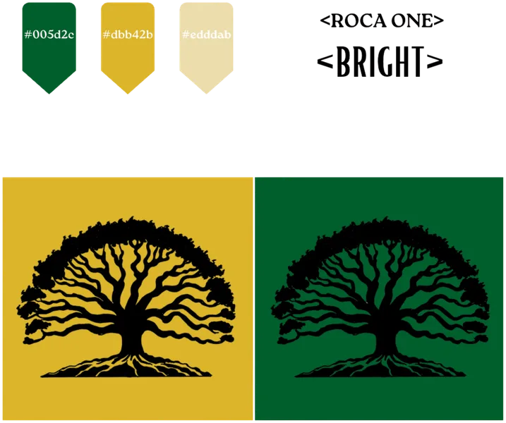 Daria for Berkeley brand guide